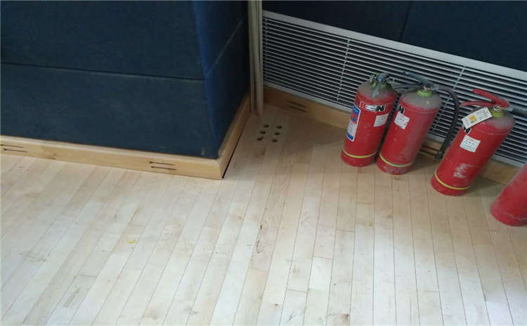 專業(yè)的籃球場木地板價格是多少錢？