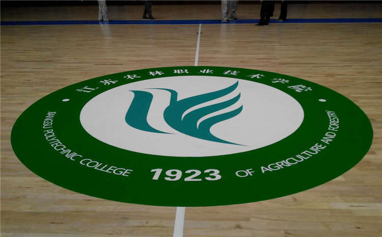 學(xué)校運動體育地板板式龍骨結(jié)構(gòu)