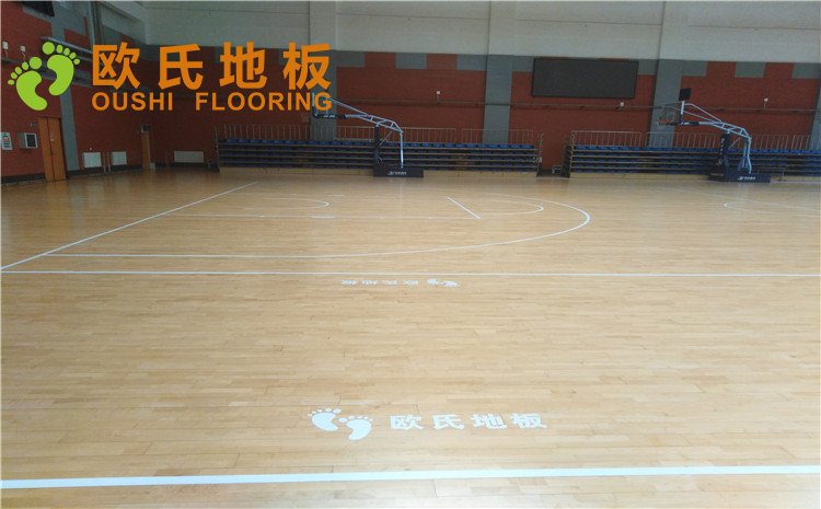 北京市亞洲殘疾人體育訓(xùn)練中心木地板圖片